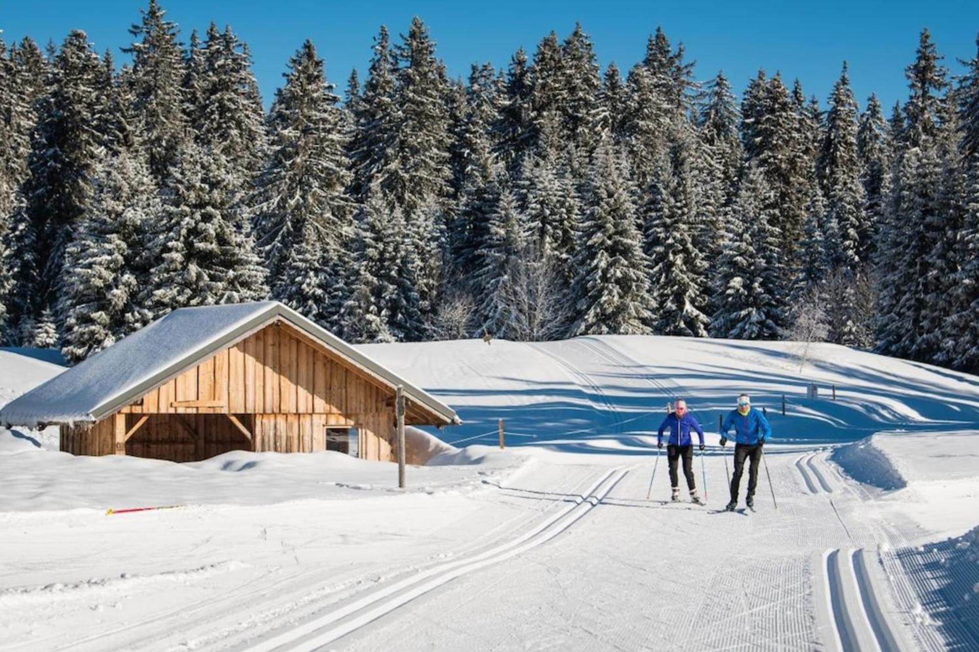 Superbe Appartement Au Pied Des Pistes -Le Chamois Les Déserts Exterior foto
